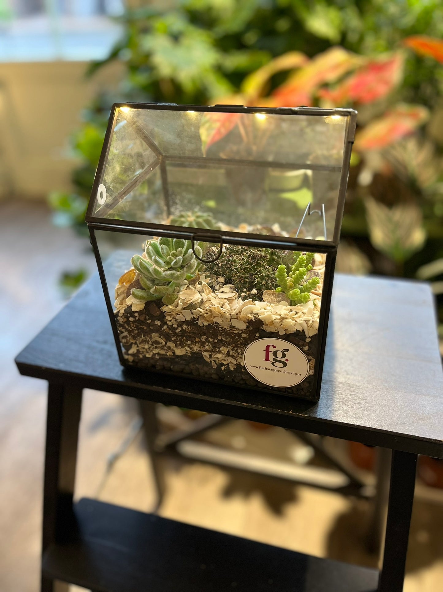 Light Up Greenhouse Terrarium