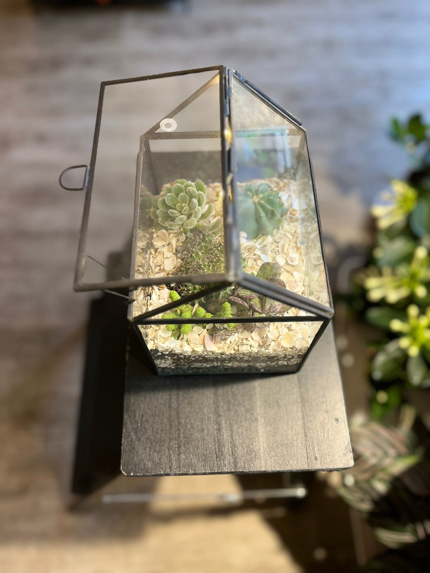 Light Up Greenhouse Terrarium