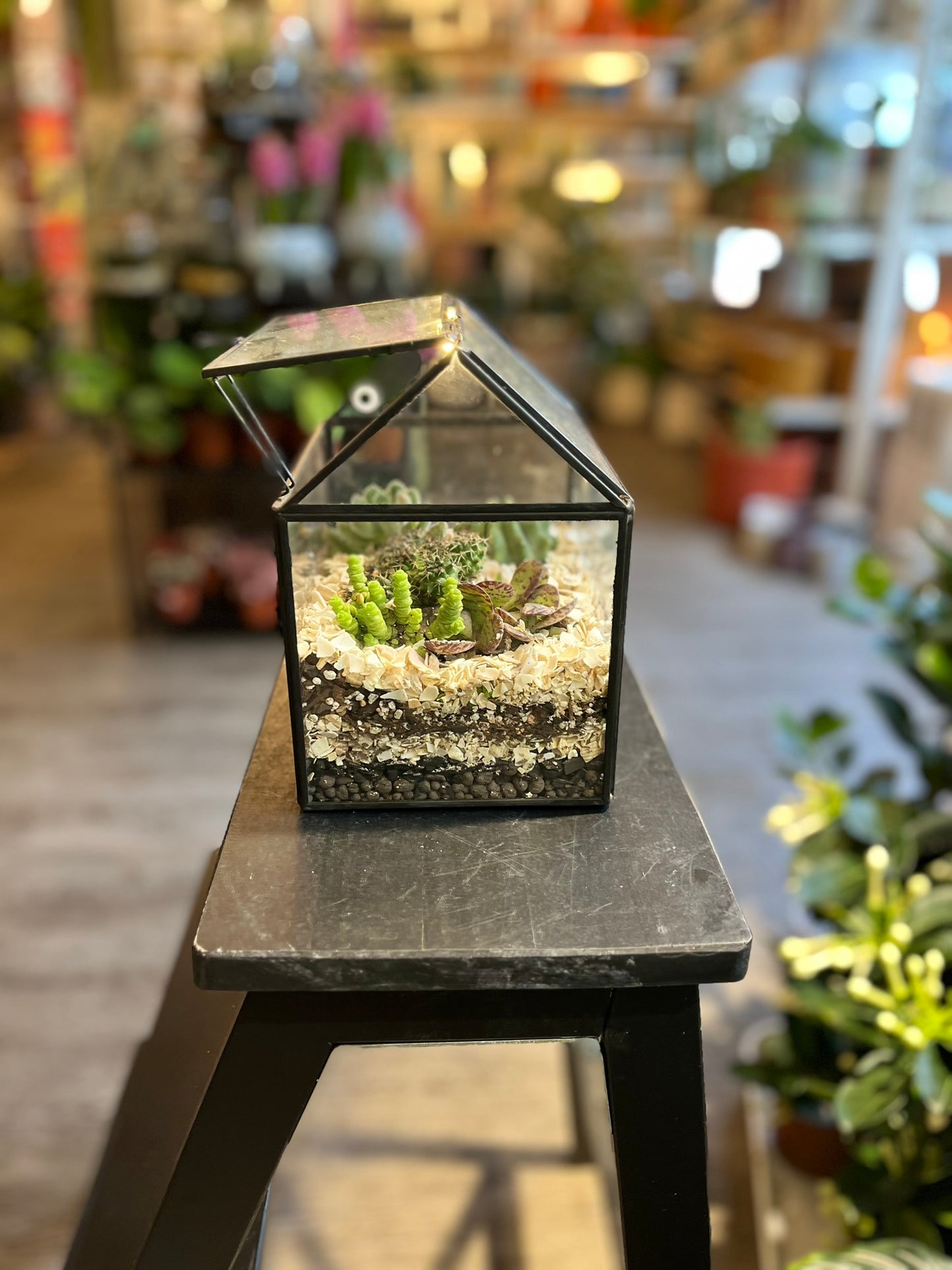 Light Up Greenhouse Terrarium