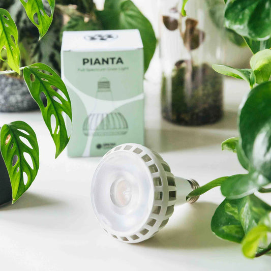 Grow Light Bulb