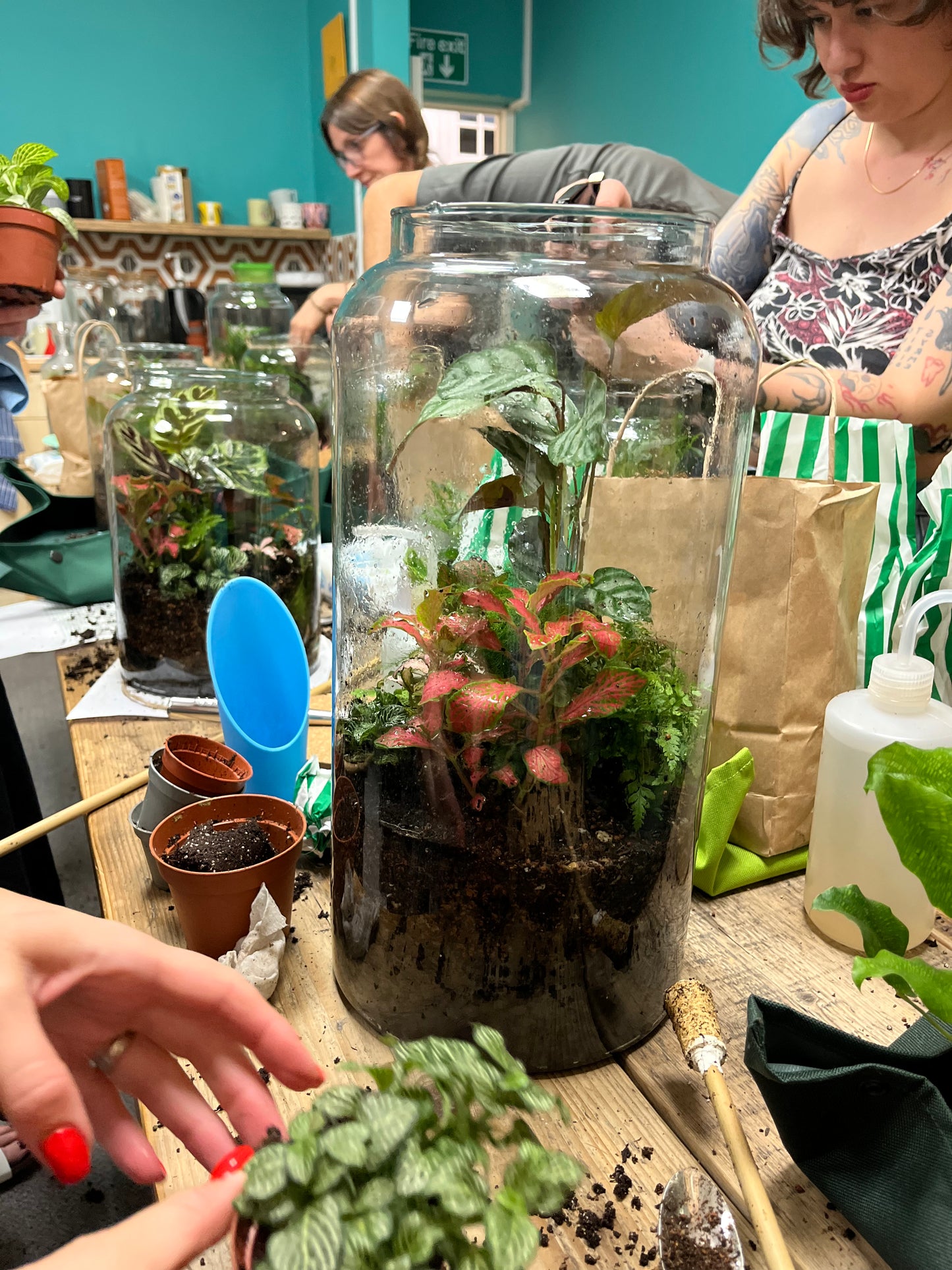 Terrarium Workshop Private Bookings