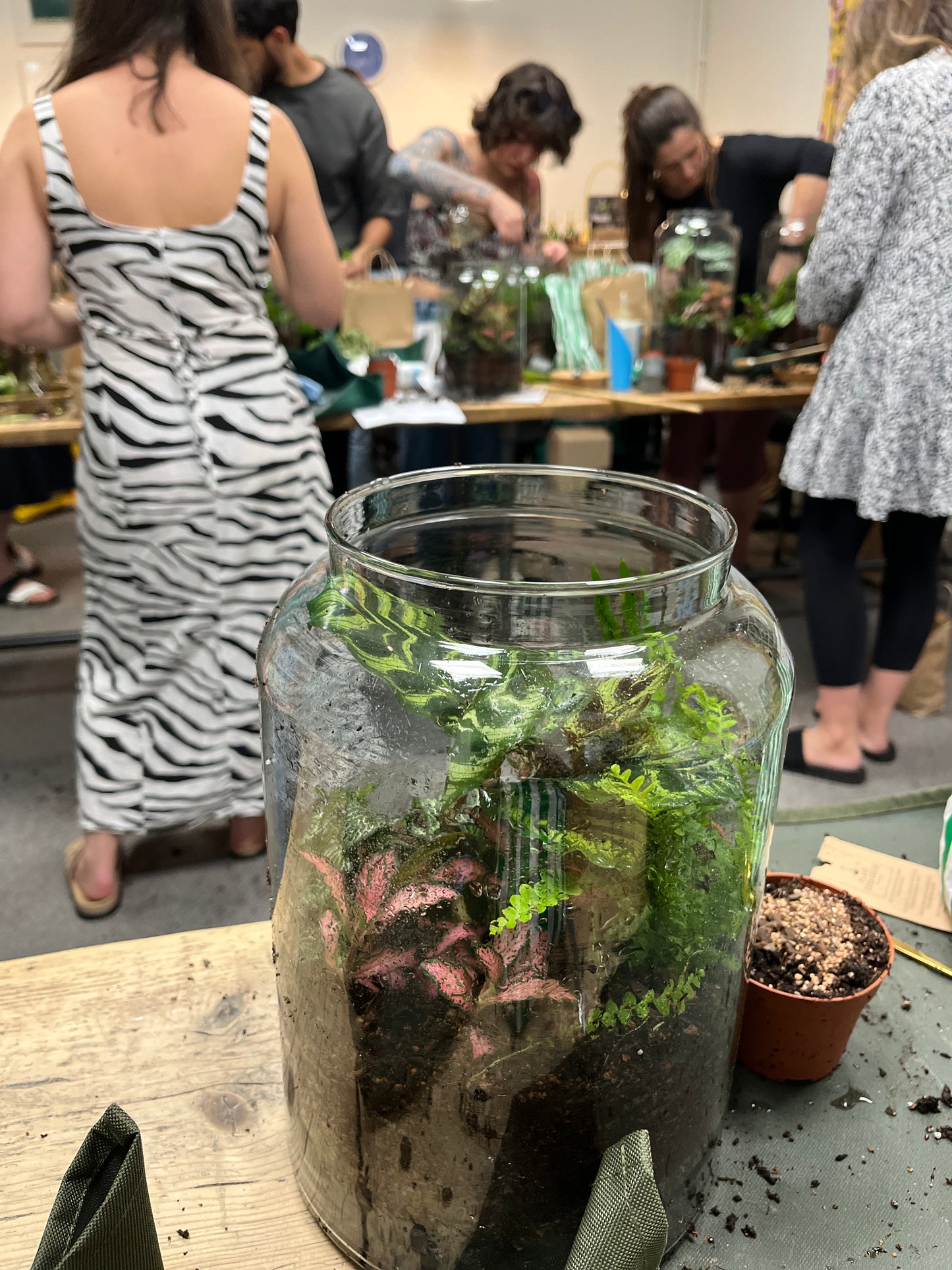 Terrarium Workshop Private Bookings