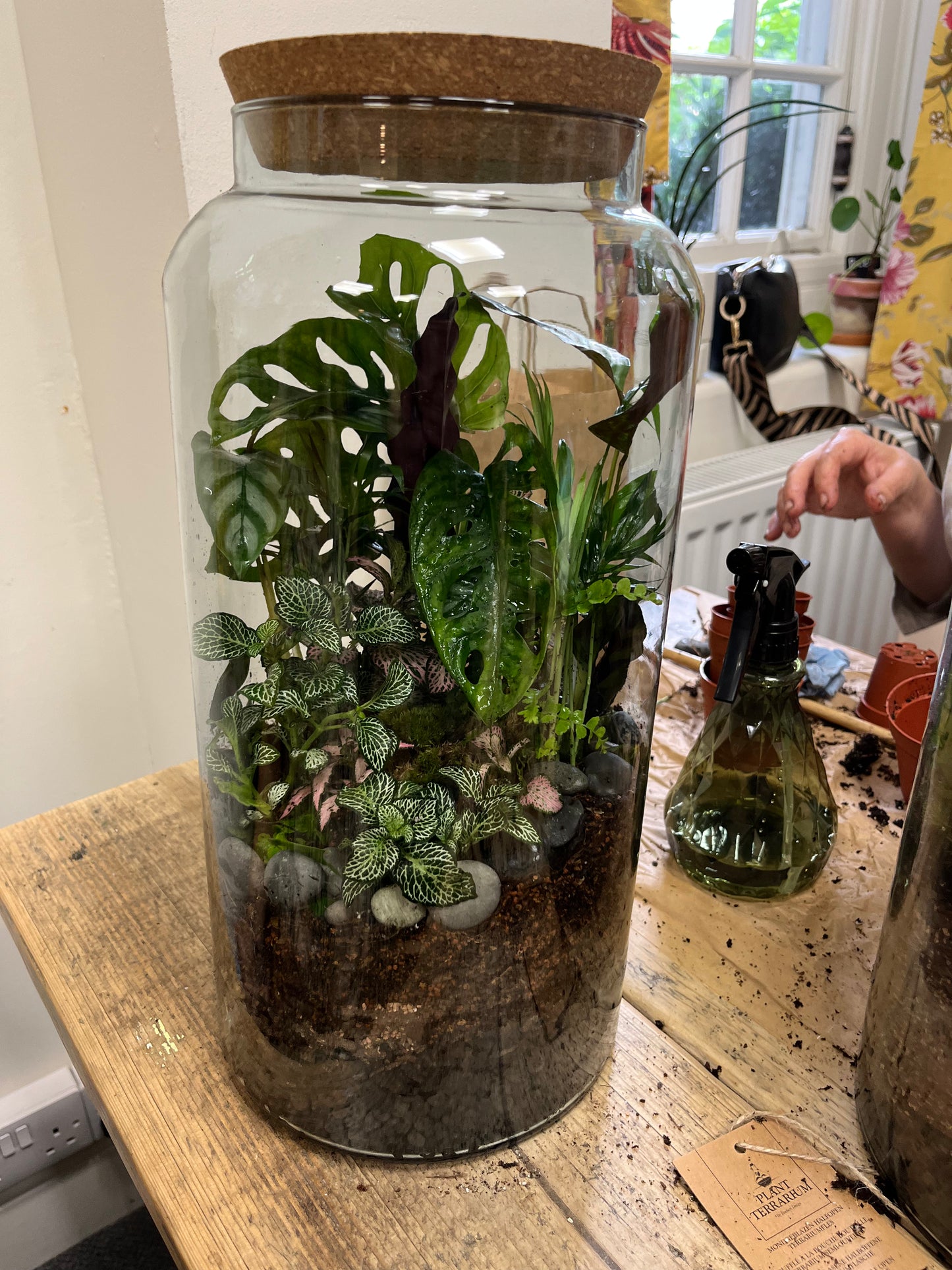 Terrarium Workshop Private Bookings
