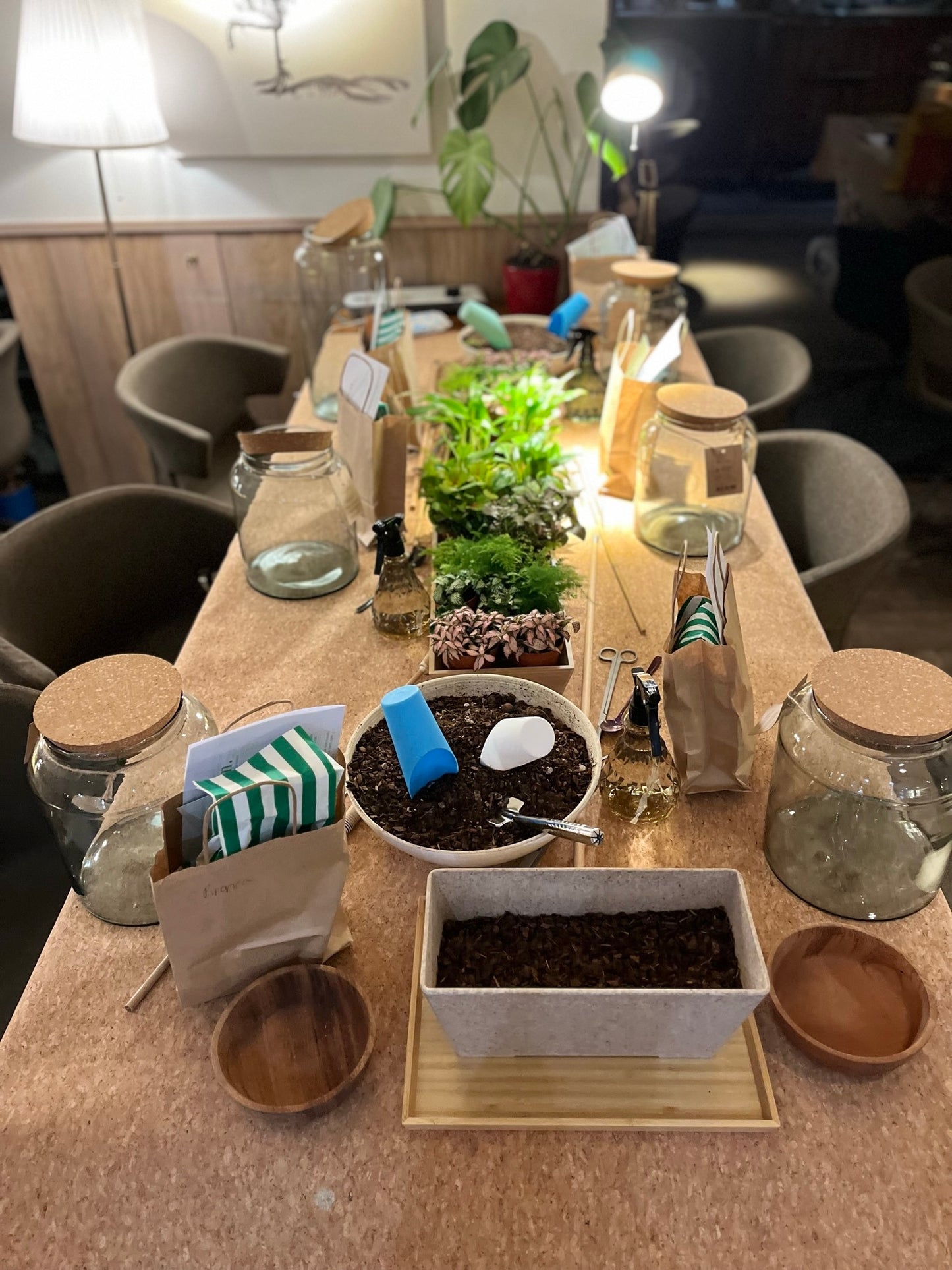 Terrarium Workshop Gift Card