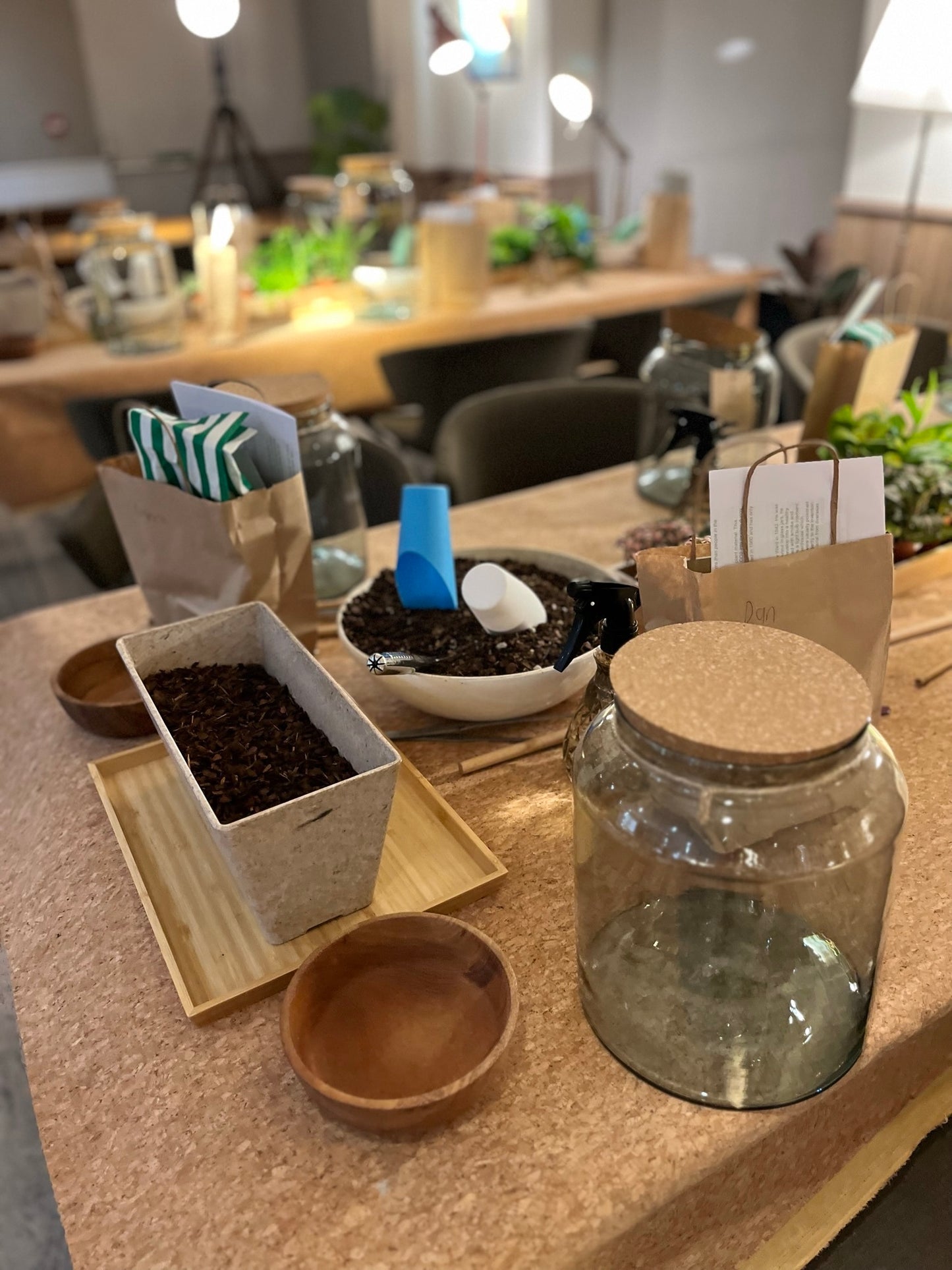 Terrarium Workshop Gift Card