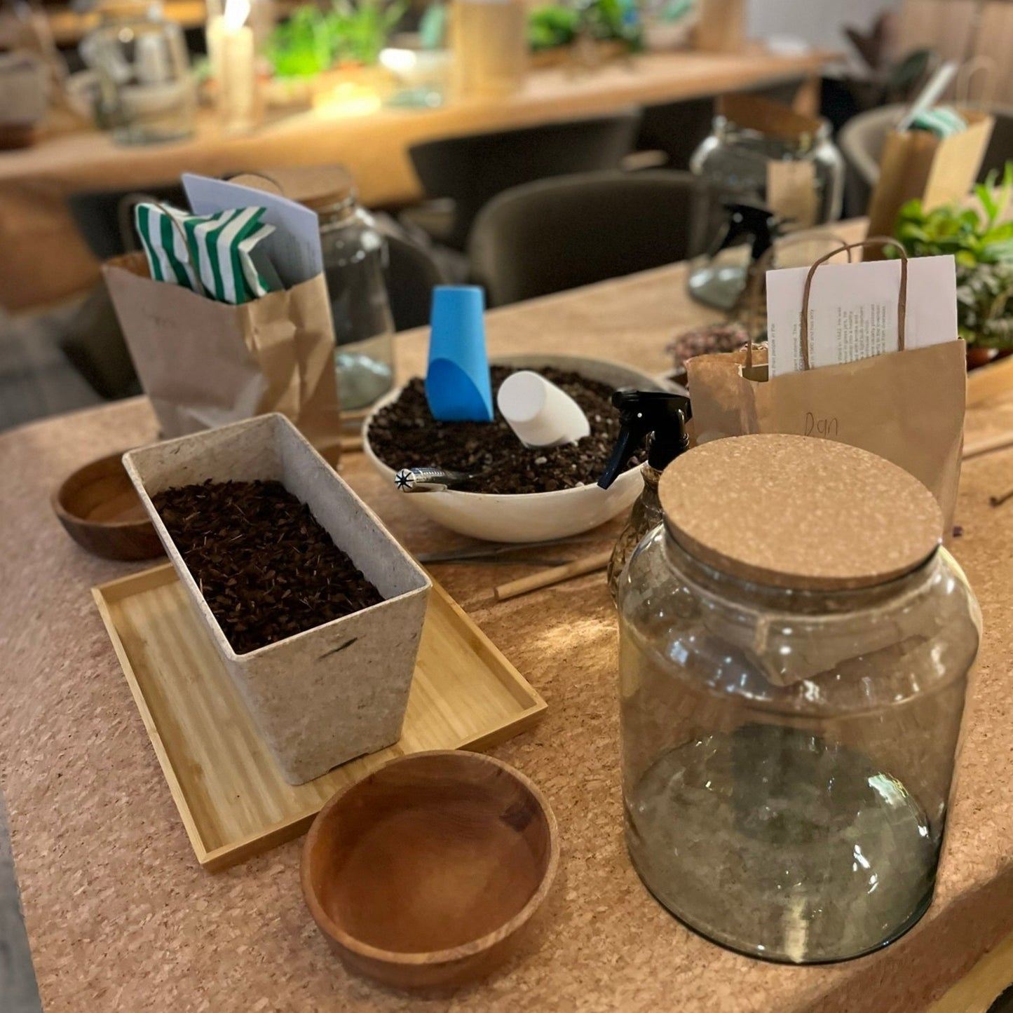 Terrarium Workshops 2025