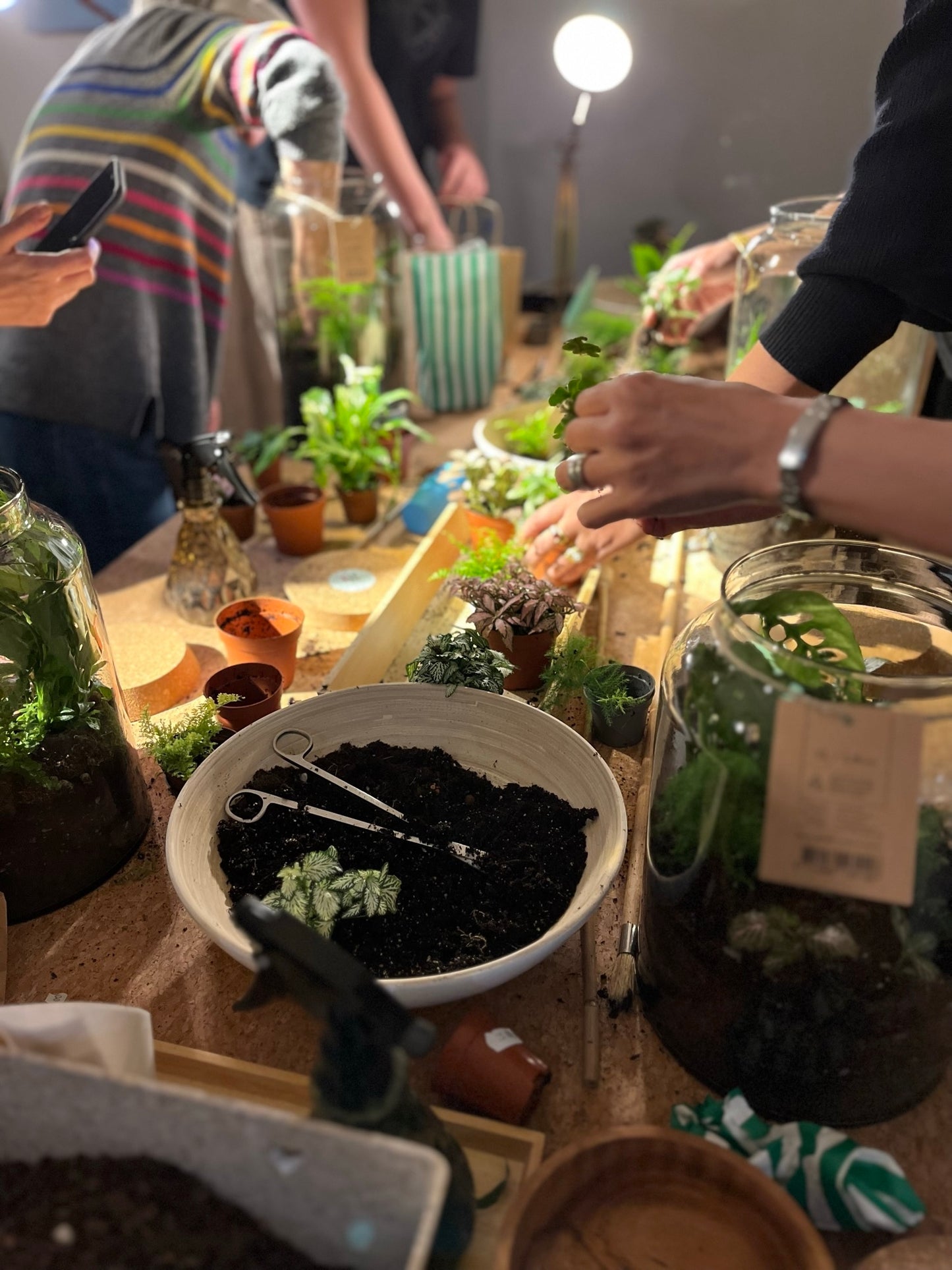 Terrarium Workshop Gift Card
