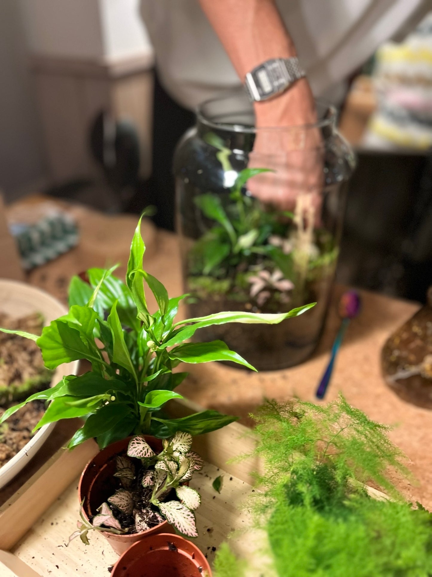 Terrarium Workshops 2025
