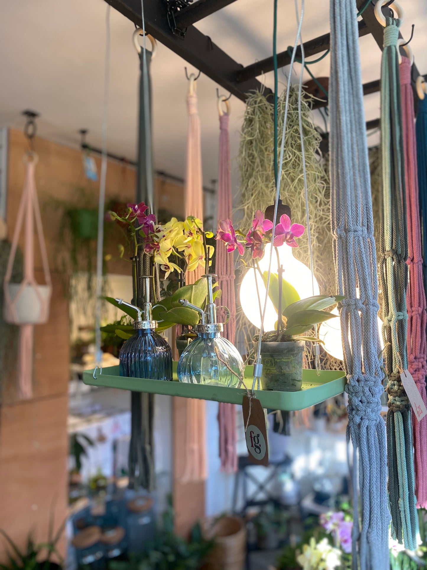 Window Dressing Hanging Plant Stand