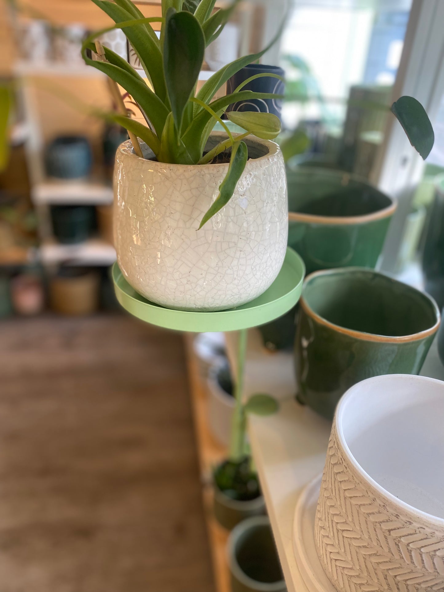Window Dressing Round Plant Stand