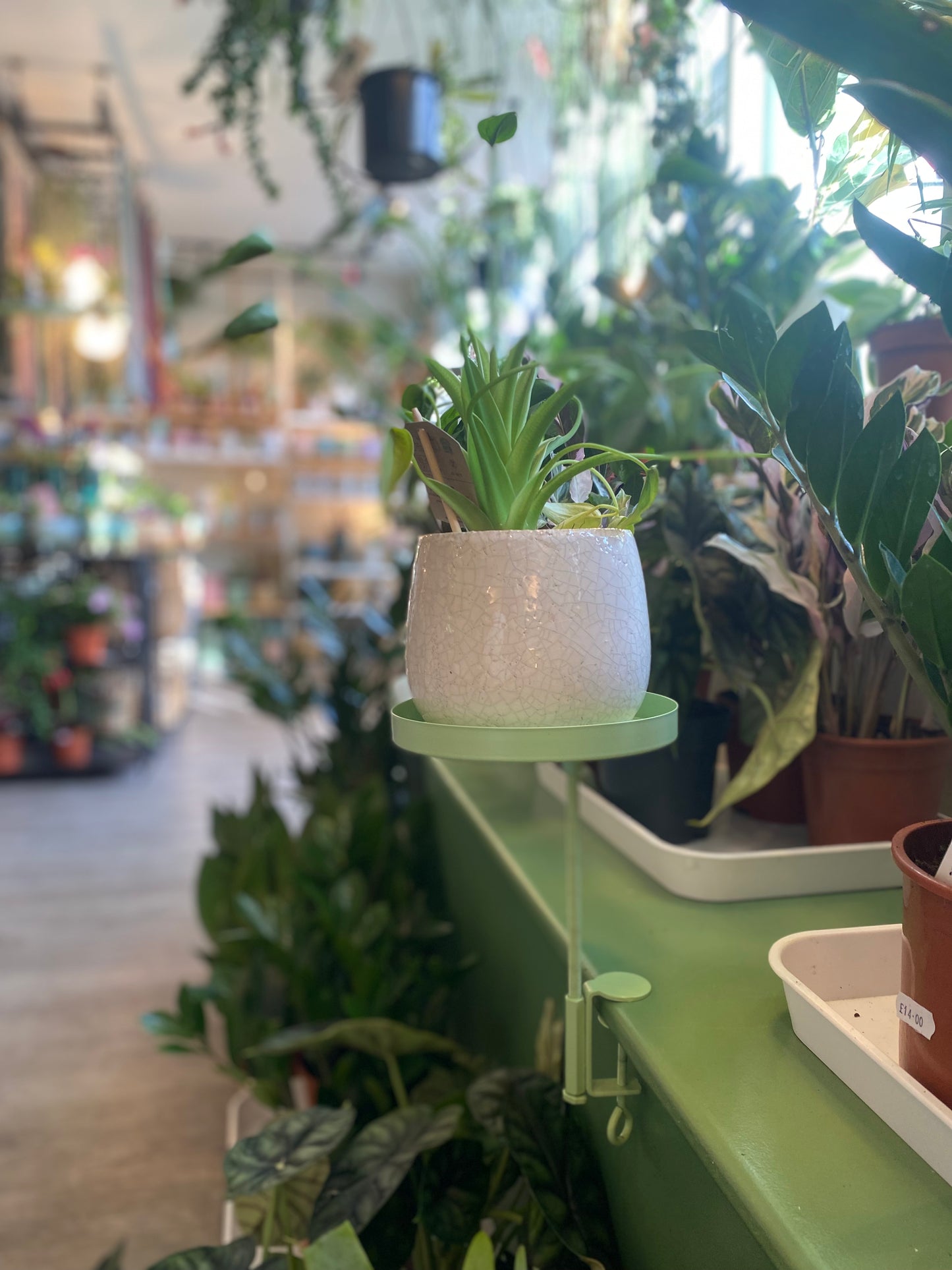 Window Dressing Round Plant Stand