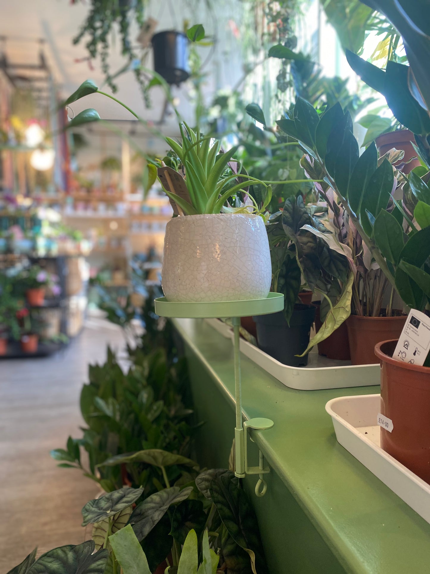 Window Dressing Round Plant Stand