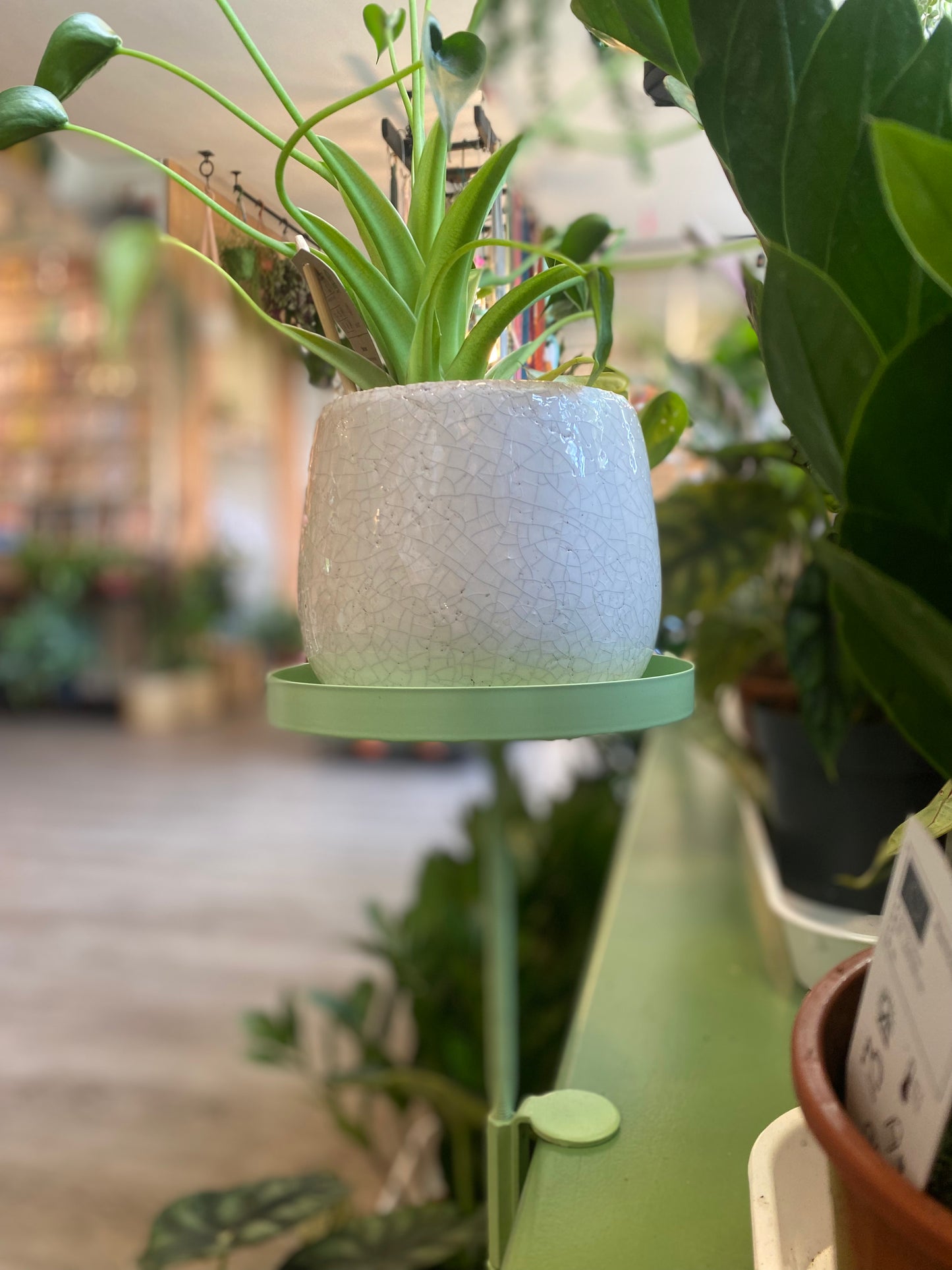 Window Dressing Round Plant Stand