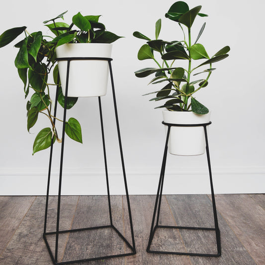 Black wire plant stands