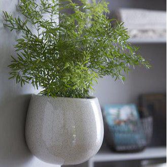 Belle Wall Hung Ceramic Pot