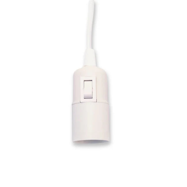 Plug in ceiling light