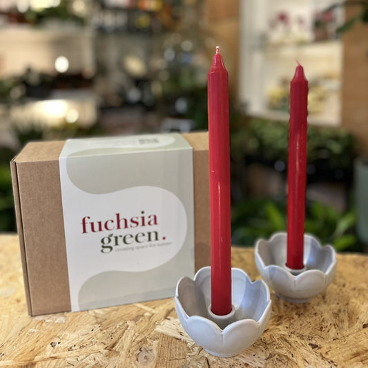 Scallop Candle Holder Gift Set