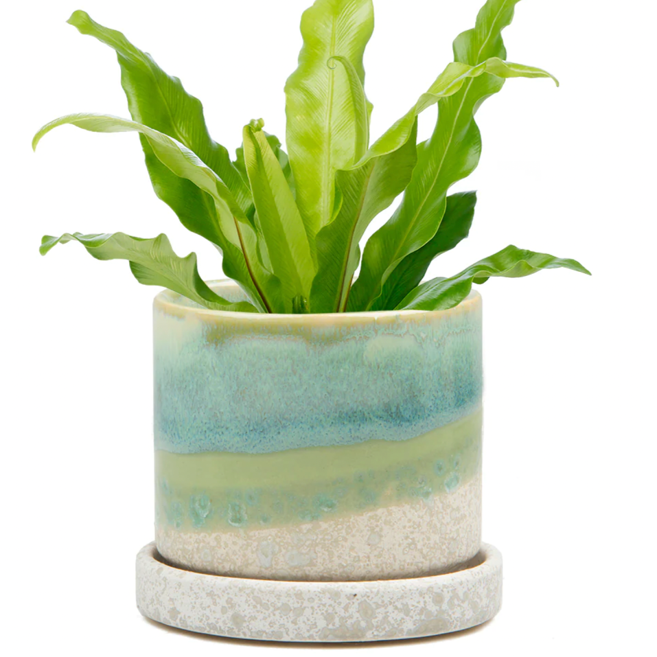 Ceramic Pot & Saucer Set