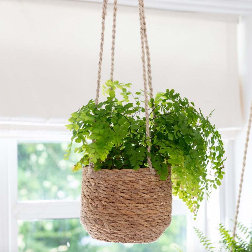 Seagrass Hanging Pot