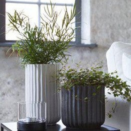 Black Matt Porcelain pot
