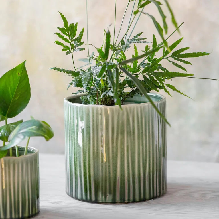 Striped Green Plant Pot