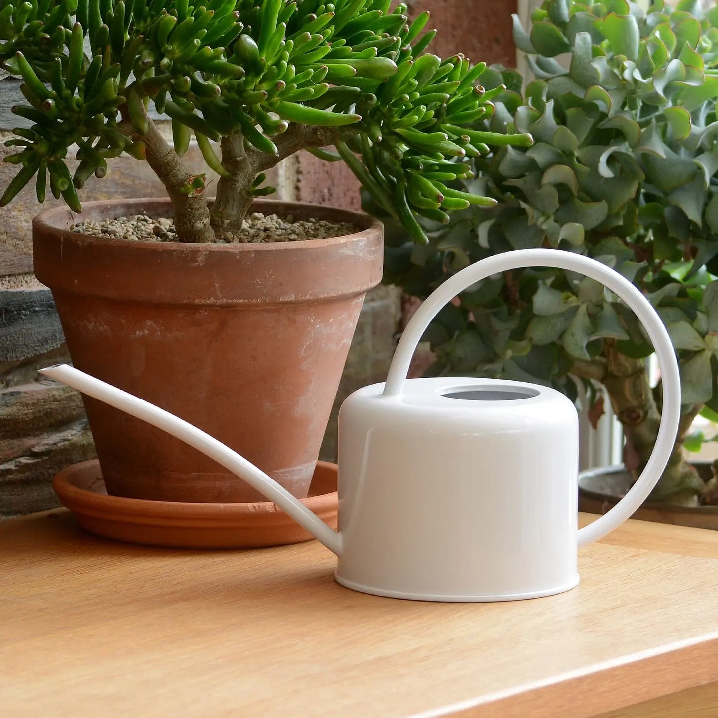 Watering Can