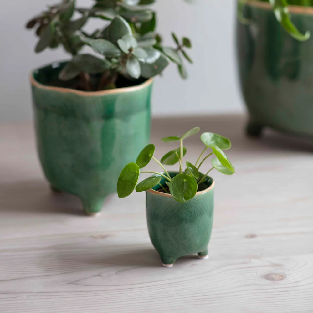 Emerald Green Pot